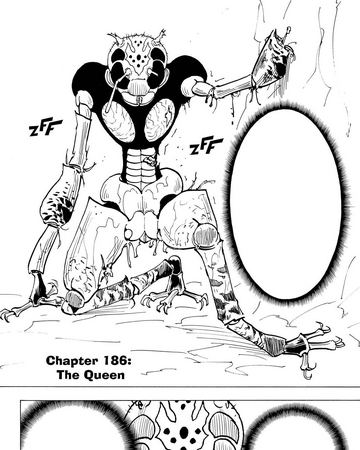 Chapter 186 Hunterpedia Fandom