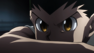 Gon waiting for Neferpitou