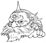 A close-up on the elder