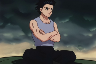 Hunter X Hunter  Hunter x hunter, Anime, Hunter anime