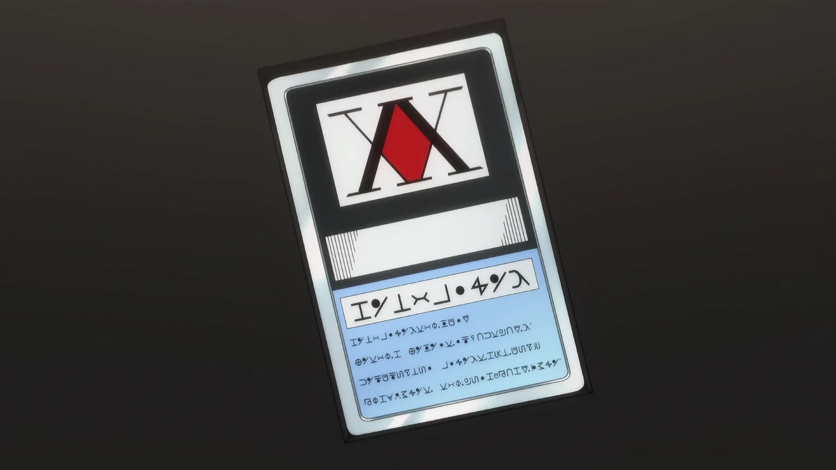 Hunter License | Hunterpedia | Fandom