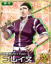 HxH Battle Collection Card (690)