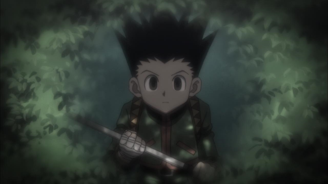 Гон Фрикс | Hunter x Hunter вики | Fandom