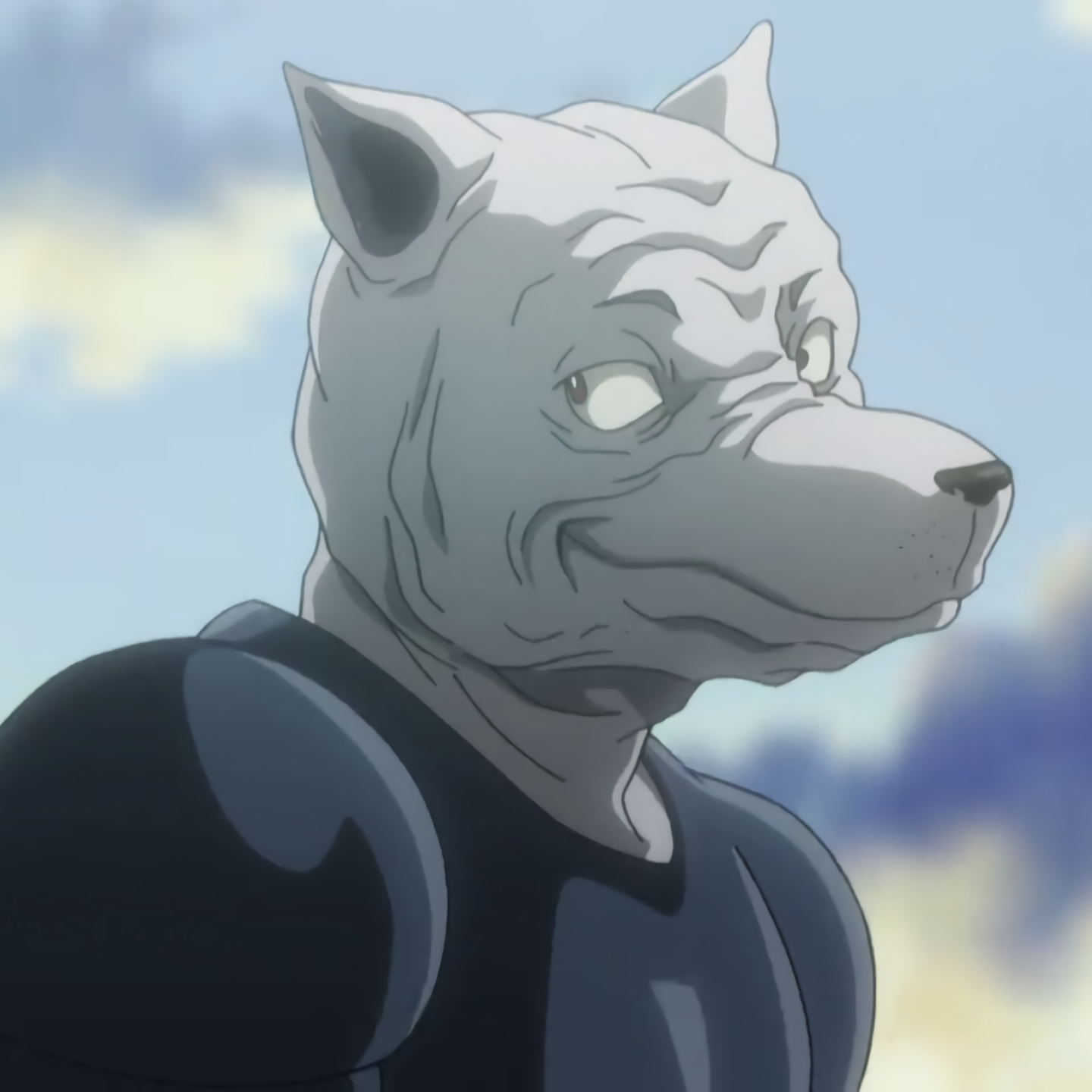 killua from Hunter x Hunter looking like a pug