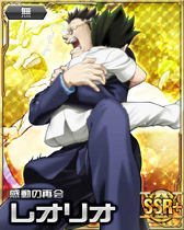 Leorio SSR Card 020