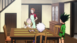 Hunter × Hunter Pilot OVA, Hunterpedia