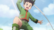 Gon catches the bird