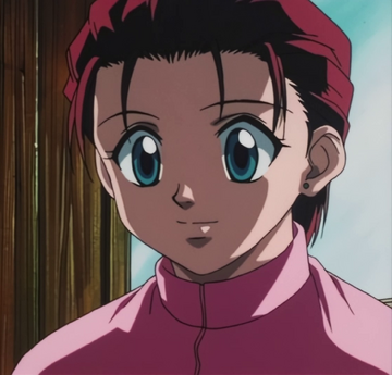 Hunter × Hunter Pilot OVA, Hunterpedia