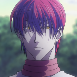 Featured image of post The Best 17 Hisoka With His Hair Down