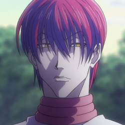 hisoka 2011 hair down