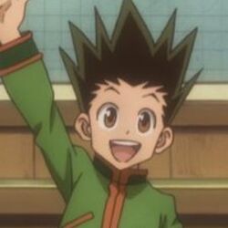 Kategorie Charakter Hunter Hunter Wiki Fandom