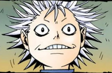 【GINGER掲載商品】 Zigg Zoldyck | Hunterpedia | Fandom 少年漫画