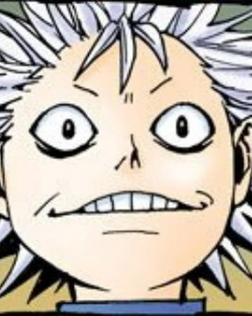 Zigg Zoldyck Hunterpedia Fandom Zigg Zoldyck Hunterpedia Fandom
