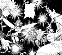 192 - Killua and Gon vs Mosquito and Centipede