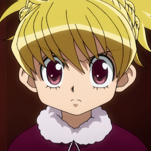 List of Hunter × Hunter Characters, Hunterpedia