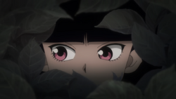 Kalluto watches behind the bushes