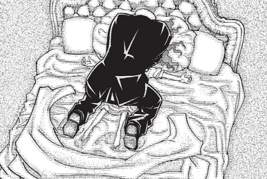 Hunter X Hunter - 372/373 - Lost in Anime
