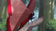 250px-Butterfly zevil.png