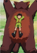 Gon and Kon