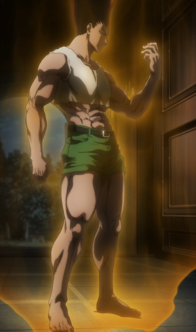 Gon vs Pitou, Anger x and x Light, Gon goes beyond his body limits to  achieve monstrous power to defeat Pitou. What Anime? Hunter X Hunter 2011  Episode 131