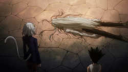 130 - Pitou and Gon find a dead Kite