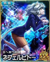 Neferpitou SSR Card 047