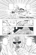 Chapter 290