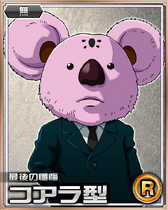 Koala R Card 003