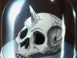 Unicorn Tribesman Skull