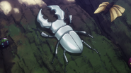 King Great White Beetle