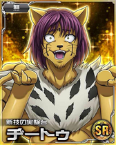 Cheetu SR Card 011