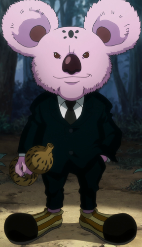 Koala Wiki Hunter X Hunter Fandom