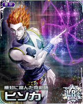 Hisoka LR Card 040