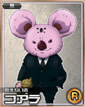 Koala R Card 001