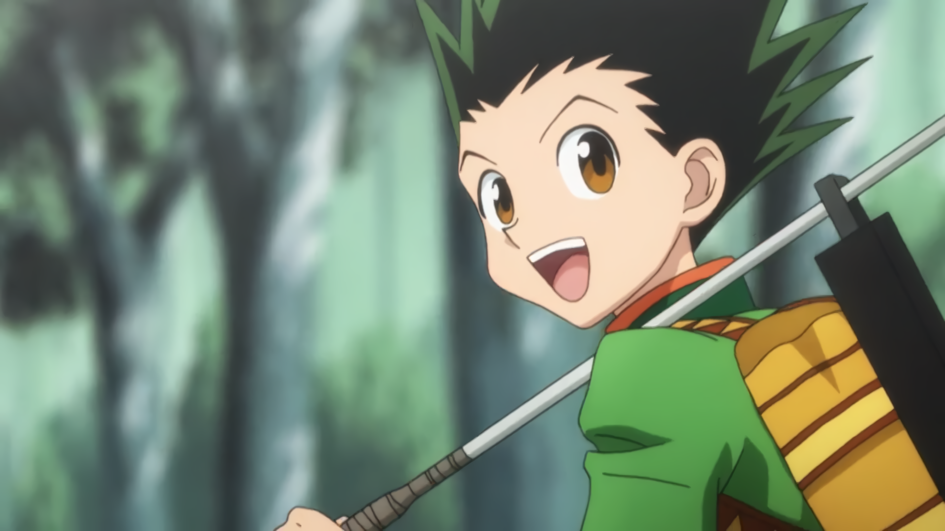 5 Hunter x Hunter characters with unfinished journeys (& 5 whose