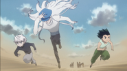 Gon starts the Chimera Ants hunt with Killua and Kite