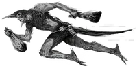 Magpie