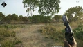 Weapon lowered