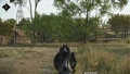 Using iron sights