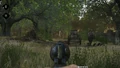 Using iron sights