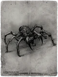 Contract spider