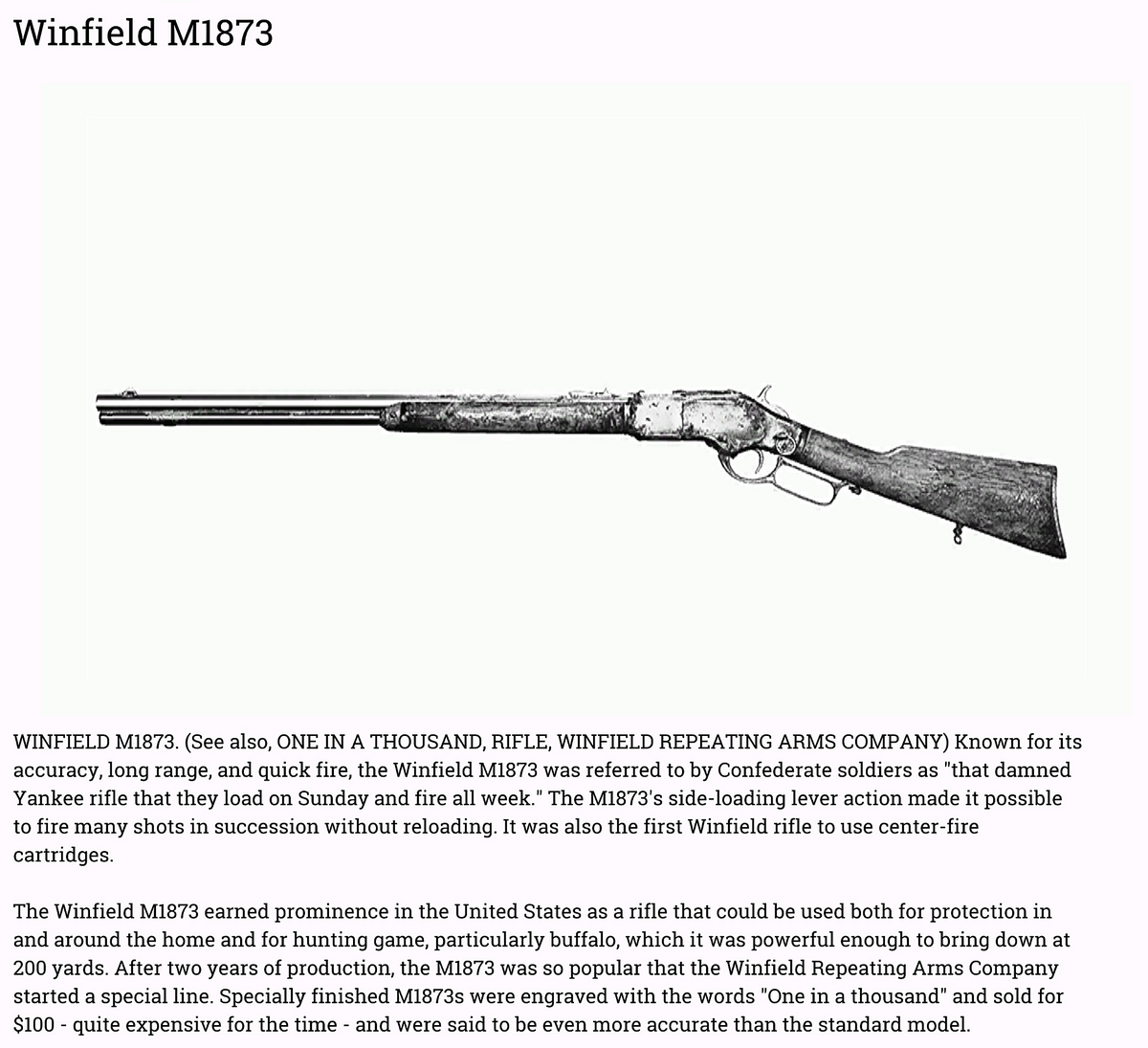 Winfield M1873 - Official Hunt: Showdown Wiki