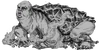 Hornskin.png
