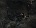 Spider on the beginning of banishing
