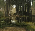 Some more ducks on water