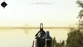 Using iron sights