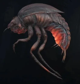 Stalker Beetle - Official Hunt: Showdown Wiki