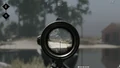 Using scope
