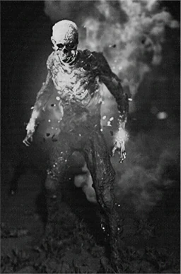 Immolator photo