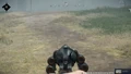 Using iron sights